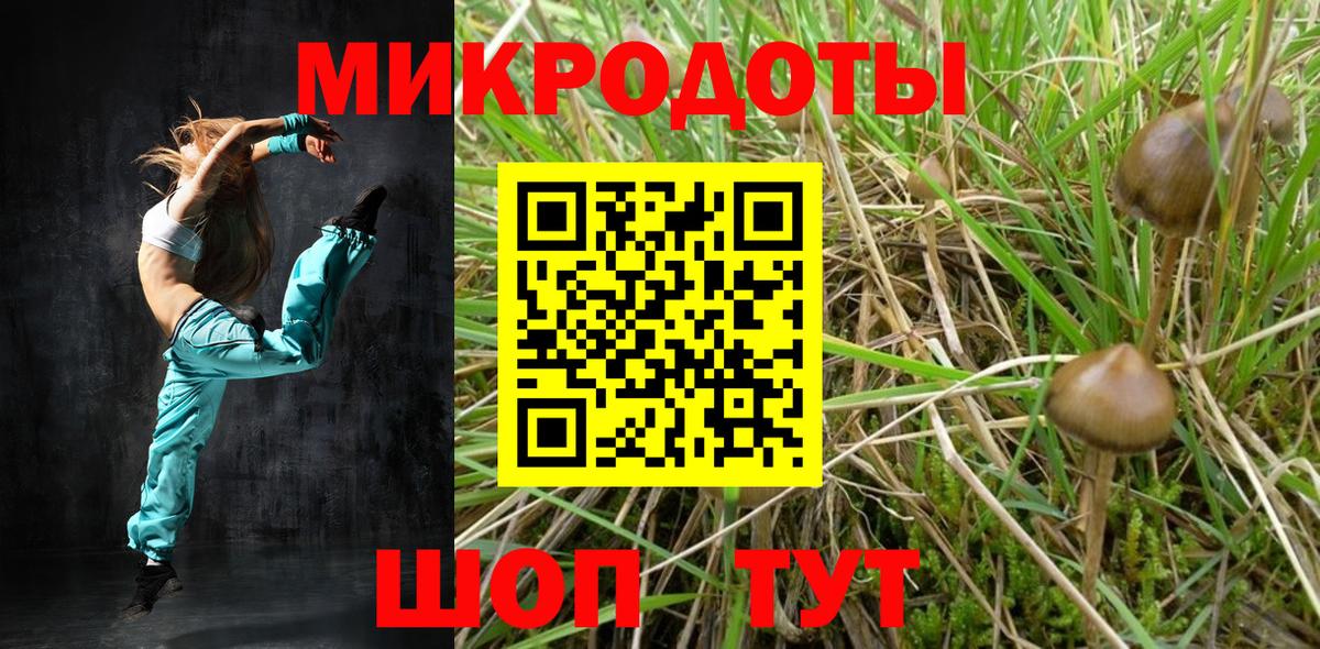 Псилоцибиновые грибы Cubensis Бахчисарай